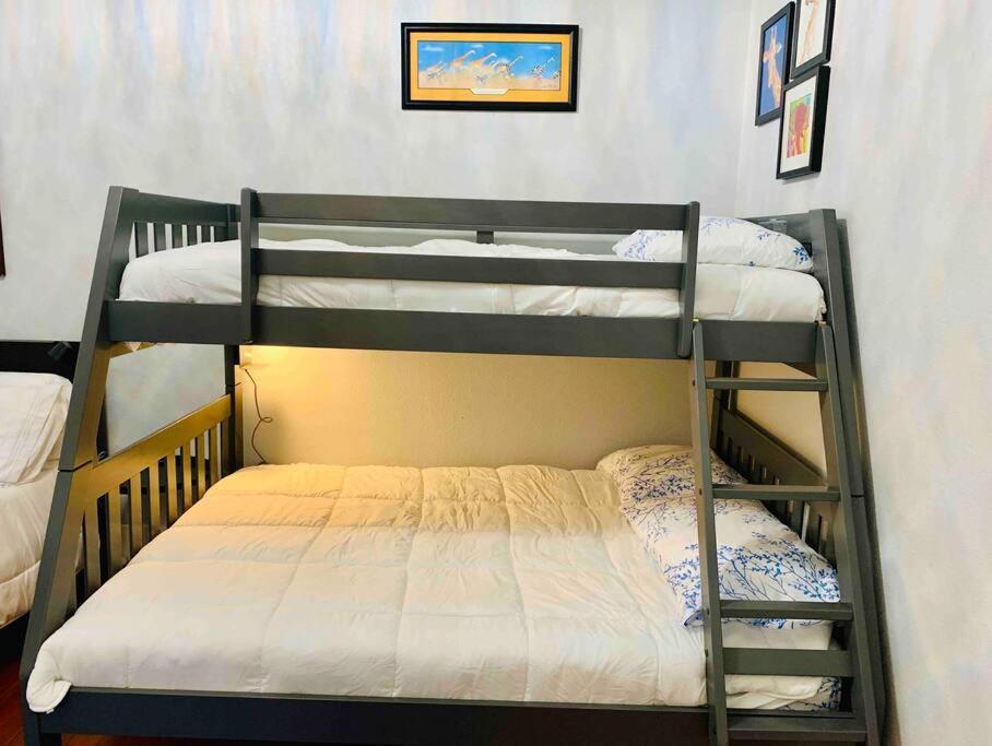 Pershing Place: Historic Home With Heated Spa/Pool By Zoo, Pearl, Golf, Witte San Antonio Dış mekan fotoğraf