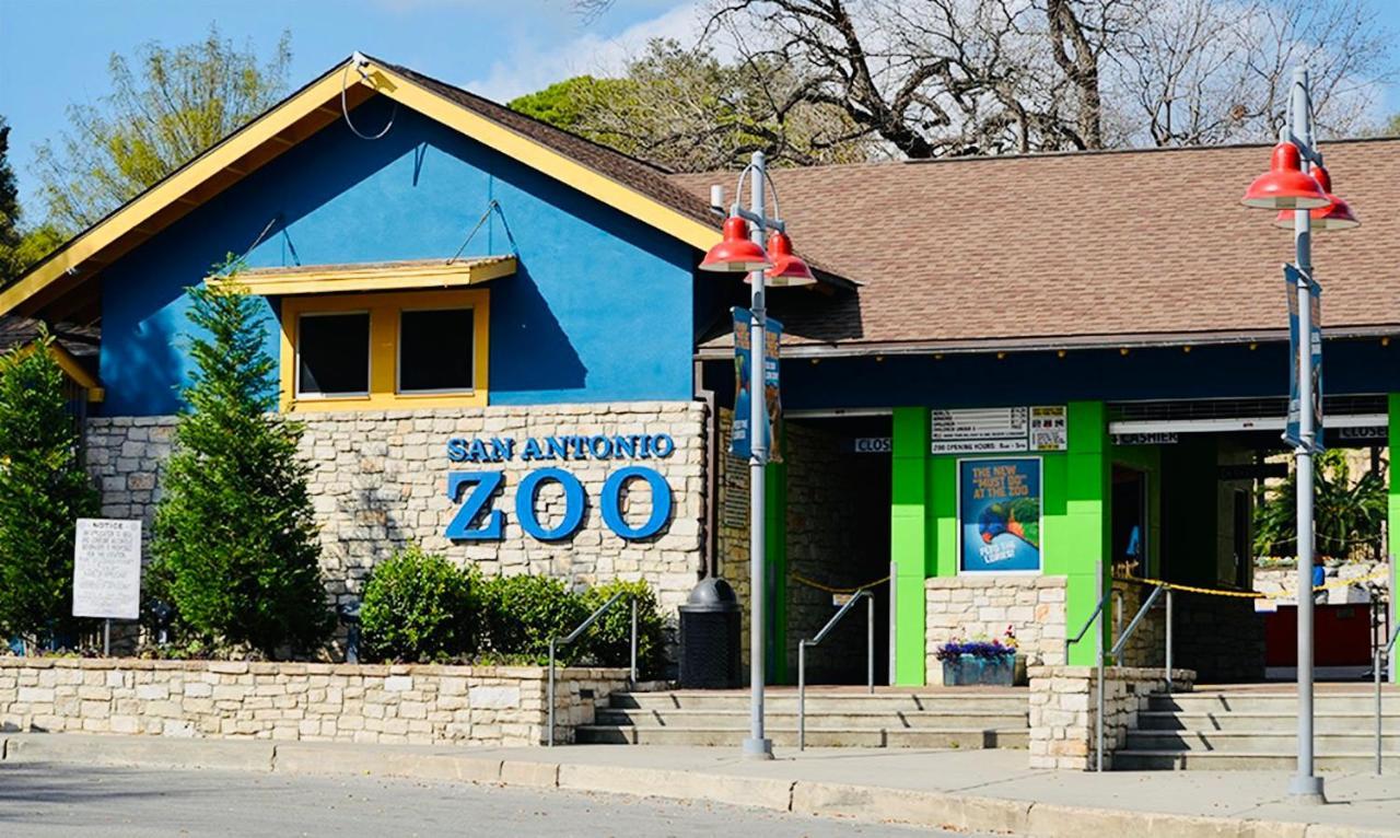 Pershing Place: Historic Home With Heated Spa/Pool By Zoo, Pearl, Golf, Witte San Antonio Dış mekan fotoğraf